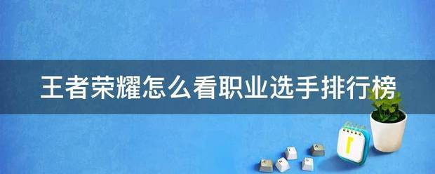王者荣耀肿么看职业选手排行榜